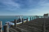 Ultimate Fishing Simulator - Florida DLC