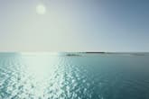 Ultimate Fishing Simulator - Florida DLC