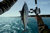 Ultimate Fishing Simulator - Florida DLC