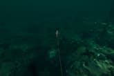 Ultimate Fishing Simulator - Florida DLC