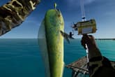 Ultimate Fishing Simulator - Florida DLC