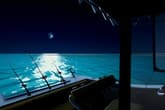 Ultimate Fishing Simulator - Florida DLC