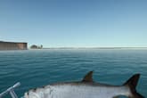 Ultimate Fishing Simulator - Florida DLC