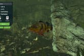 Ultimate Fishing Simulator - Aquariums DLC