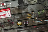 Professional Fishing: Sakura© Ryokan Spinning