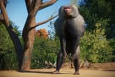 Planet Zoo: Zookeepers Animal Pack