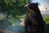 Planet Zoo: Zookeepers Animal Pack