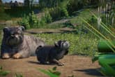 Planet Zoo: Zookeepers Animal Pack