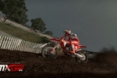 MXGP 24 - Fox Holeshot Edition