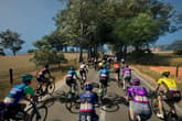 Pro Cycling Manager 25