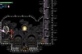 Chronicles of the Wolf