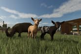 Farming Simulator 25 - Highlands Fishing Edition
