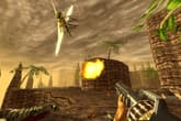 Turok