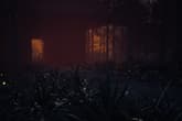 Lushfoil Photography Sim