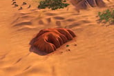 Civilization VI - Australia Civilization & Scenario Pack