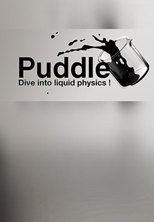 Puddle