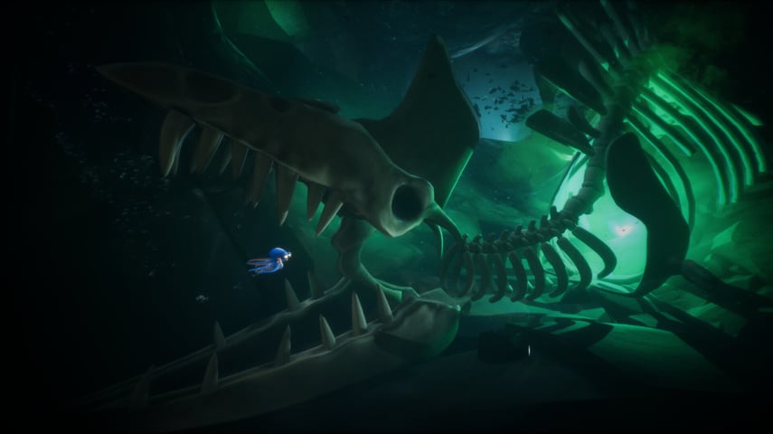 Darwin's Paradox:  A Strange World Through Different Eyes