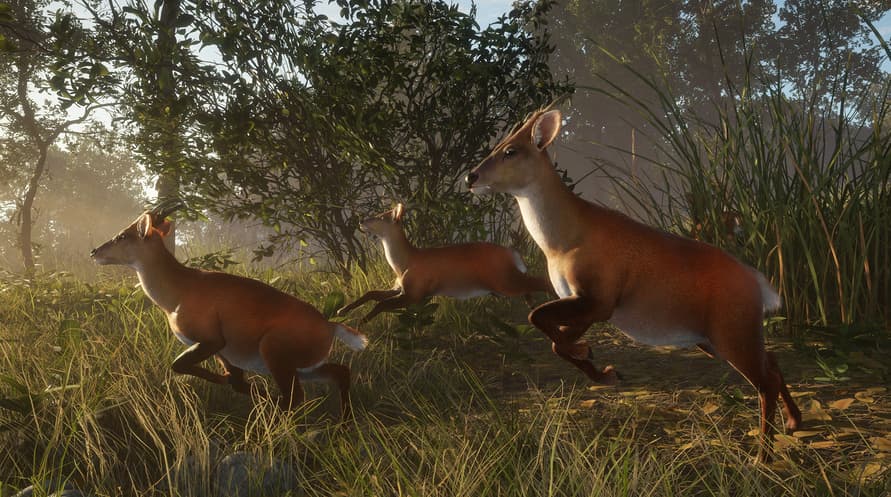 theHunter: Call of the Wild™ - Sundarpatan Nepal Hunting Reserve