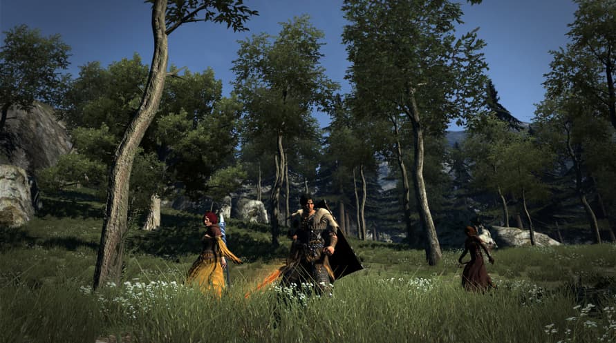Dragon's Dogma: Dark Arisen