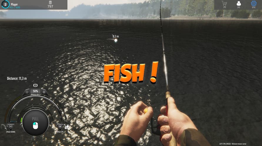 Fishing Adventure: Finland Reserve