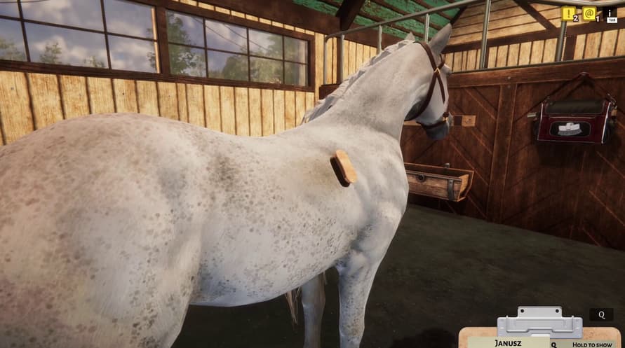 Animal Shelter - Puppies & Kittens DLC