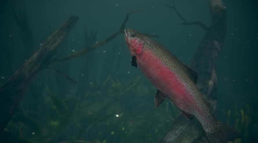 Ultimate Fishing Simulator 2 - Early Access