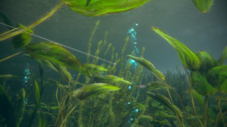 Ultimate Fishing Simulator 2 - Early Access