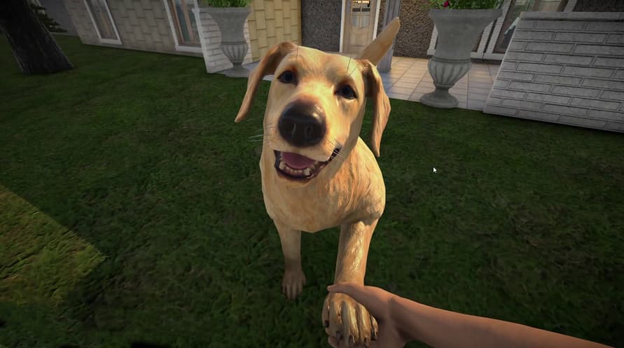 Pets Hotel