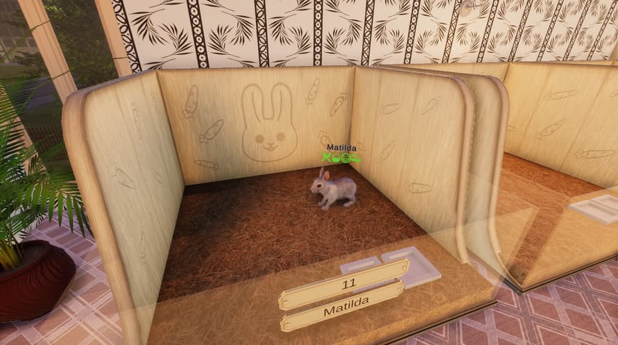 Pets Hotel