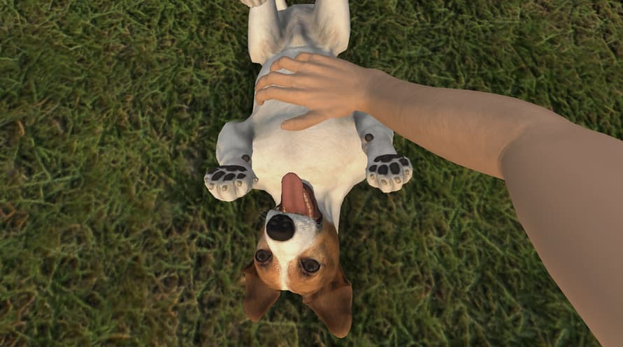 Pets Hotel