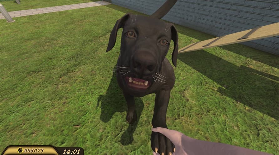 Pets Hotel