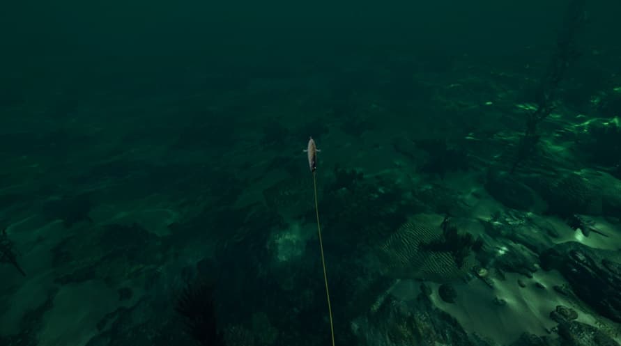 Ultimate Fishing Simulator - Florida DLC