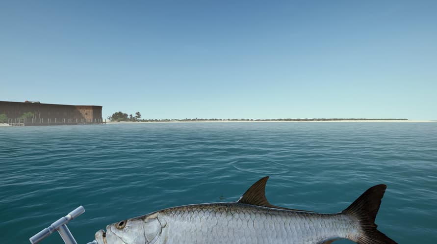 Ultimate Fishing Simulator - Florida DLC