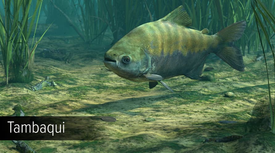 Ultimate Fishing Simulator - Amazon River DLC