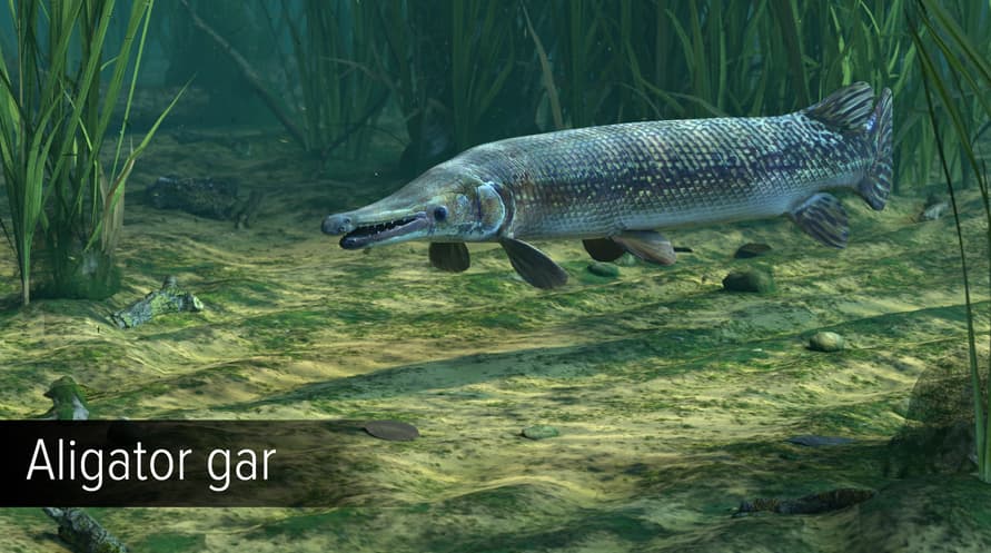 Ultimate Fishing Simulator - Amazon River DLC