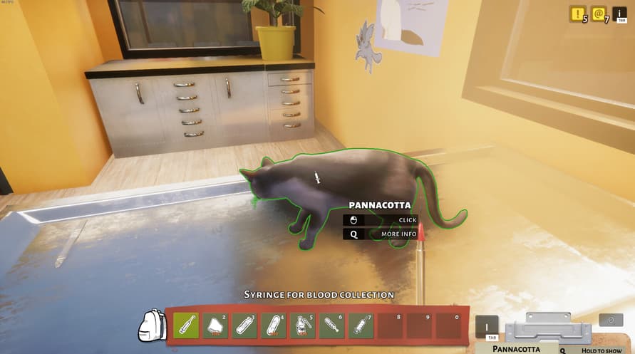 Animal Shelter