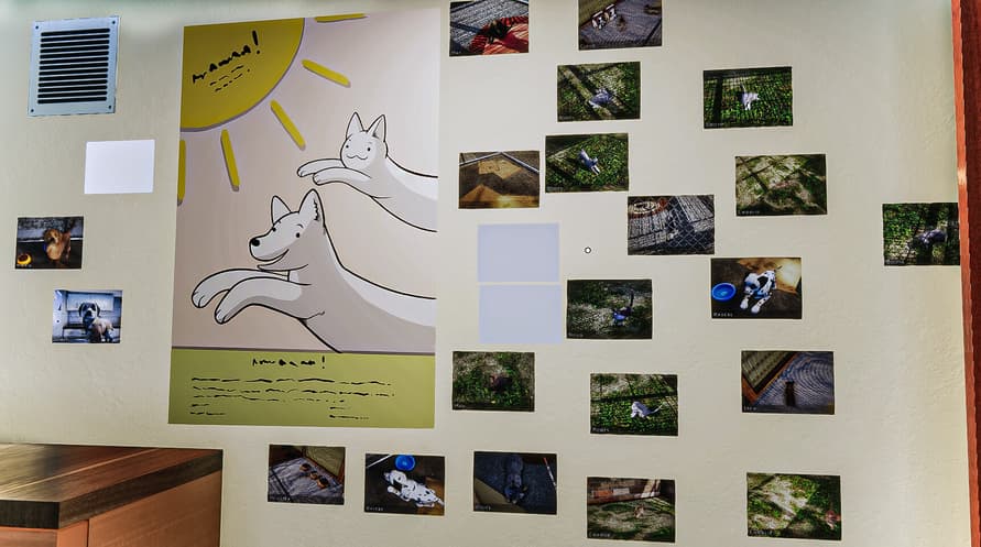 Animal Shelter