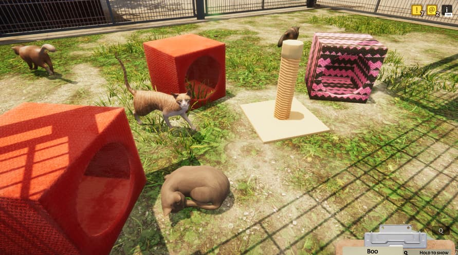 Animal Shelter