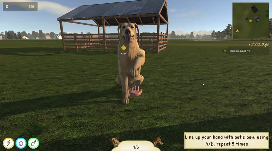 Animal Trainer Simulator