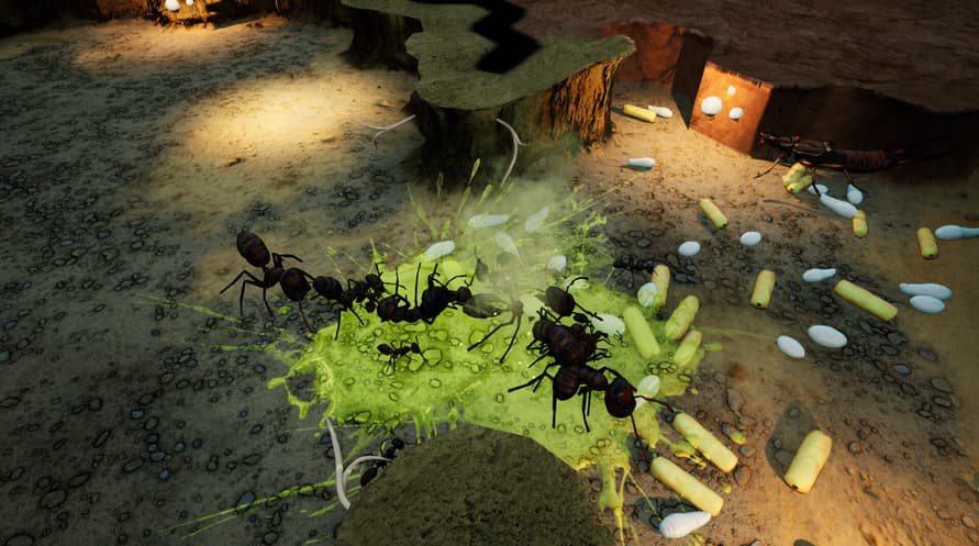 Empires of the Undergrowth - Exploding Ants