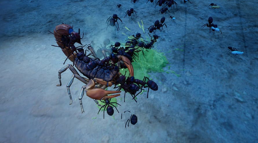 Empires of the Undergrowth - Exploding Ants