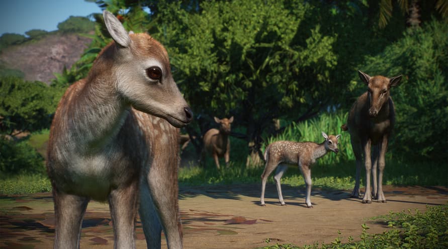 Planet Zoo: Asia Animal Pack