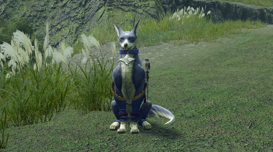 MONSTER HUNTER RISE + SUNBREAK DELUXE