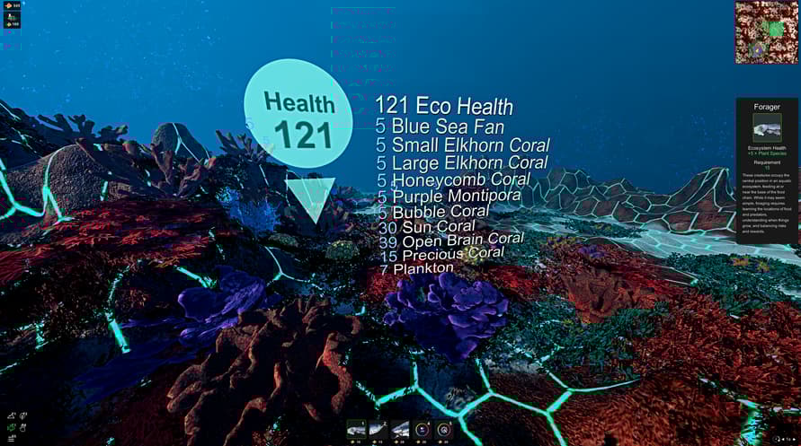 Ecosystem