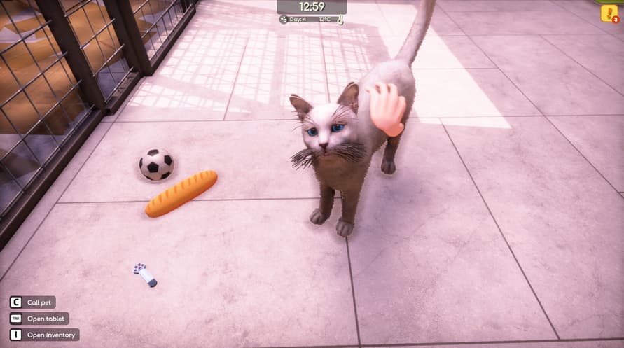 Animal Shelter 2