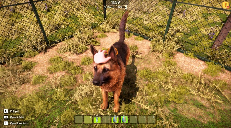 Animal Shelter 2