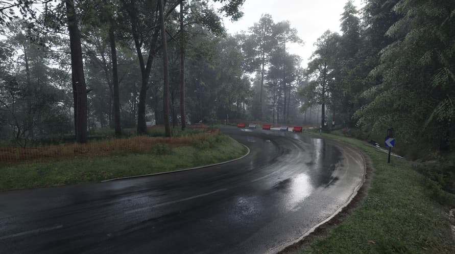 Assetto Corsa Rally