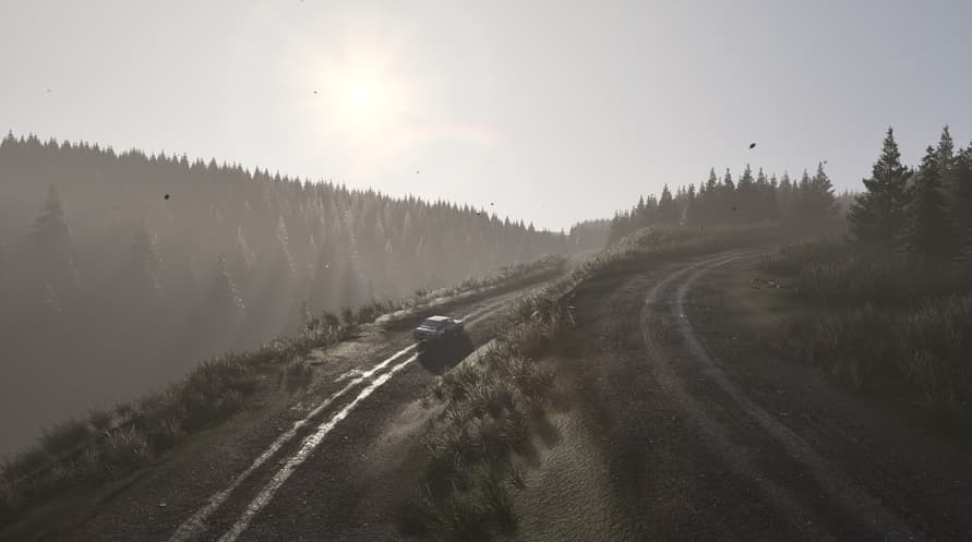 Assetto Corsa Rally