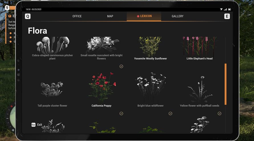 Ranger’s Path: National Park Simulator