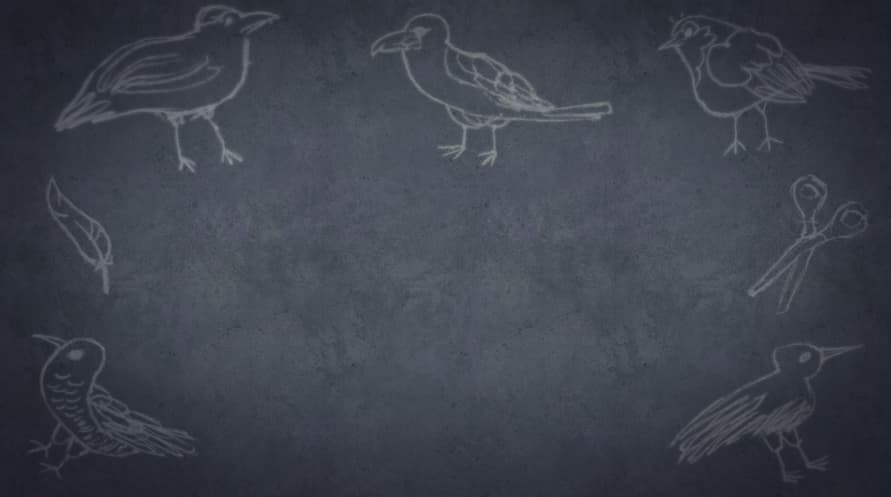 The Day I Became a Bird